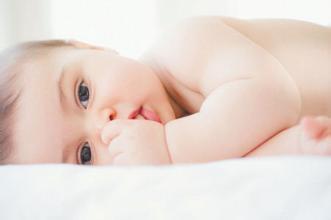 培养箱